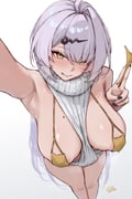 二次元插画 #11520155