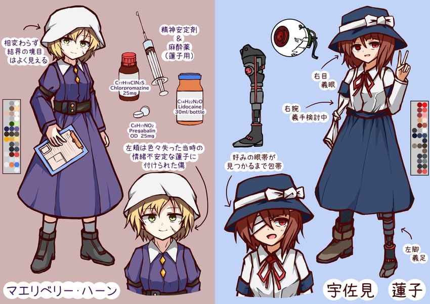 东方Project、玛艾露贝莉·赫恩、宇佐见莲子 2名女孩 改装服装 异色瞳 替换头饰 截肢