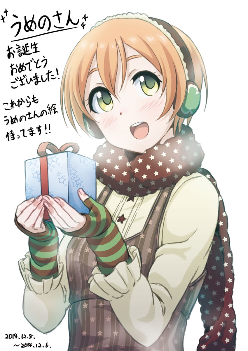 Love Live!、Love Live! 学园偶像祭、星空凛 1名女孩 护臂 盒子 棕围巾 有日期
