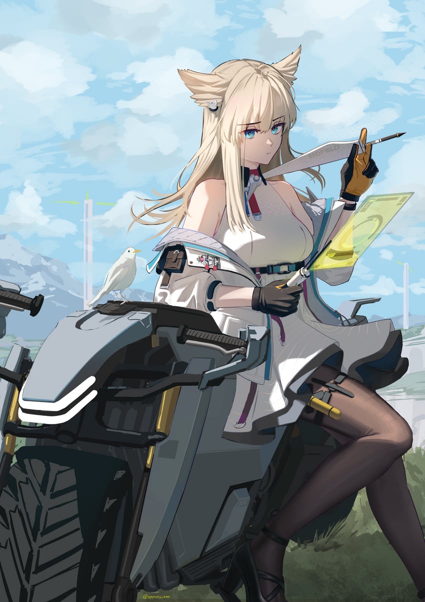 明日方舟、明日方舟：终末地、佩莉卡 (明日方舟：终末地) 1名女孩 动物 露肩 鸟 黑色手套