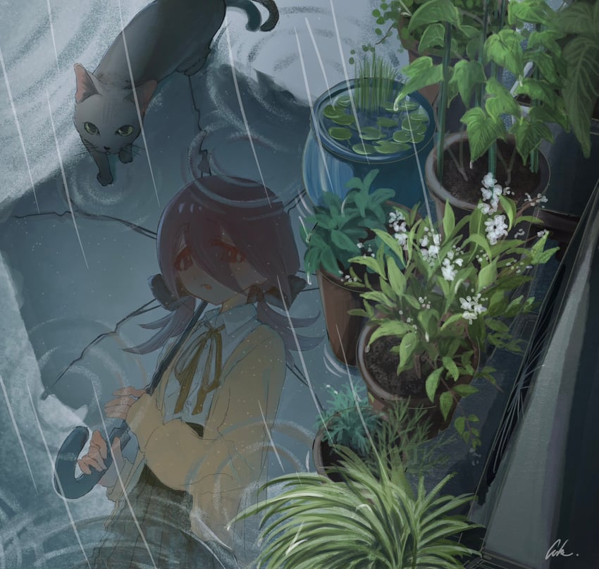 原创 1名女孩 开襟衫 猫 有领衬衫 灰猫