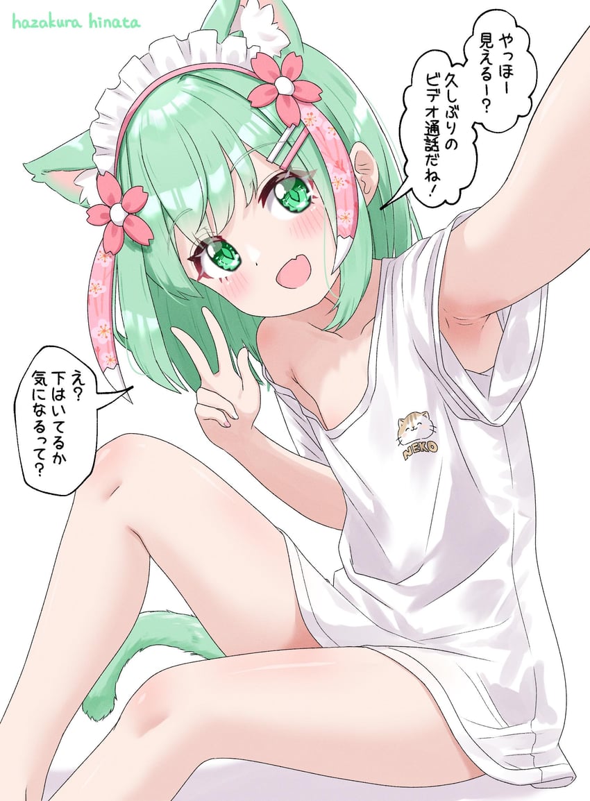 二次元插画 1名女孩 兽耳 猫耳 猫娘 猫尾