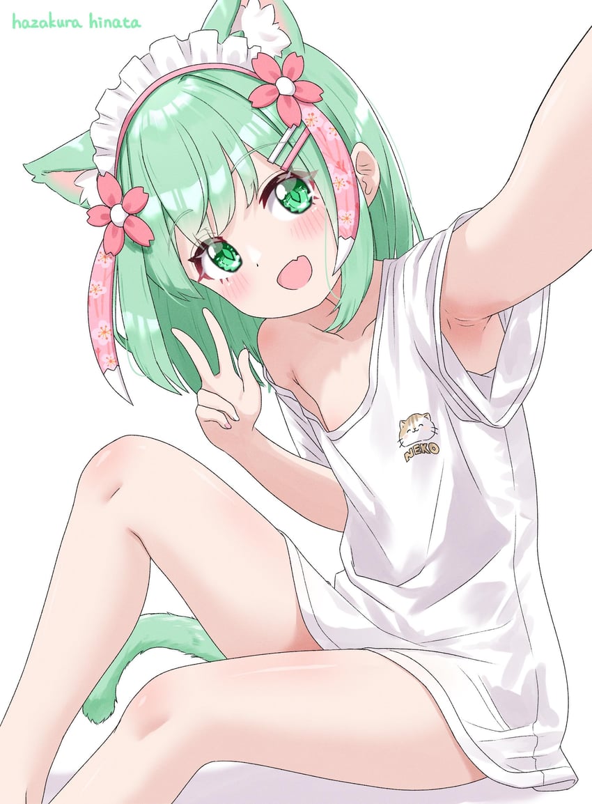 二次元插画 1名女孩 兽耳 猫耳 猫娘 猫尾