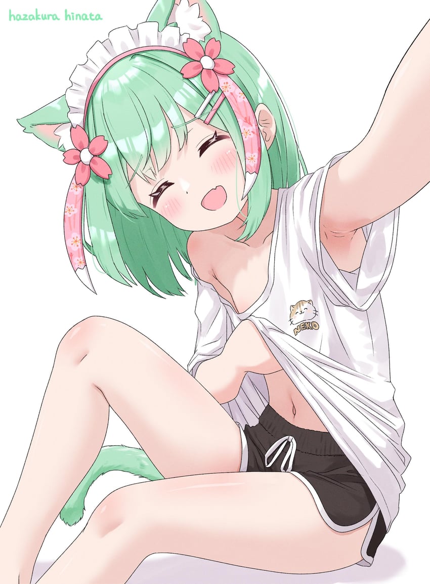 二次元插画 1名女孩 兽耳 猫耳 猫娘 猫尾