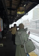 二次元插画 #11524702