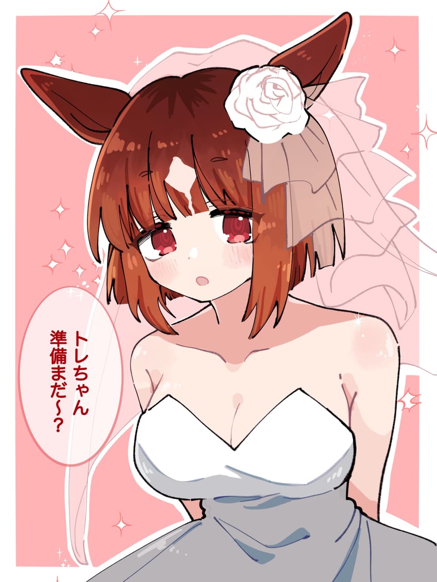 赛马娘、真弓快车 (赛马娘) 1名女孩 兽耳 露肩 脸红 乳房