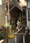 二次元插画 #11526042