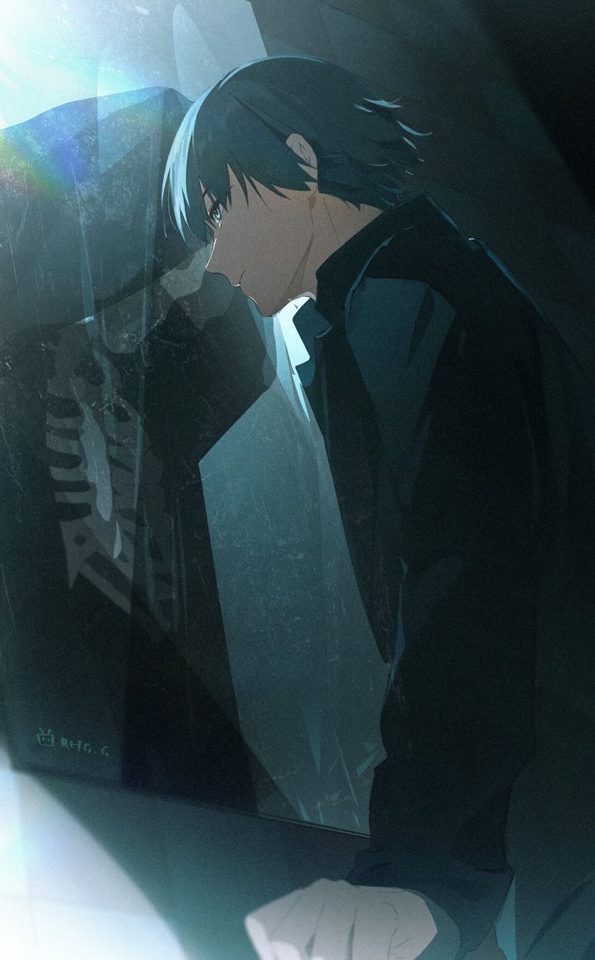 Fate/strange Fake、Fate系列 1名男孩 黑发 黑色夹克 蓝眼 不一致的镜像