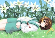 二次元插画 #11527493