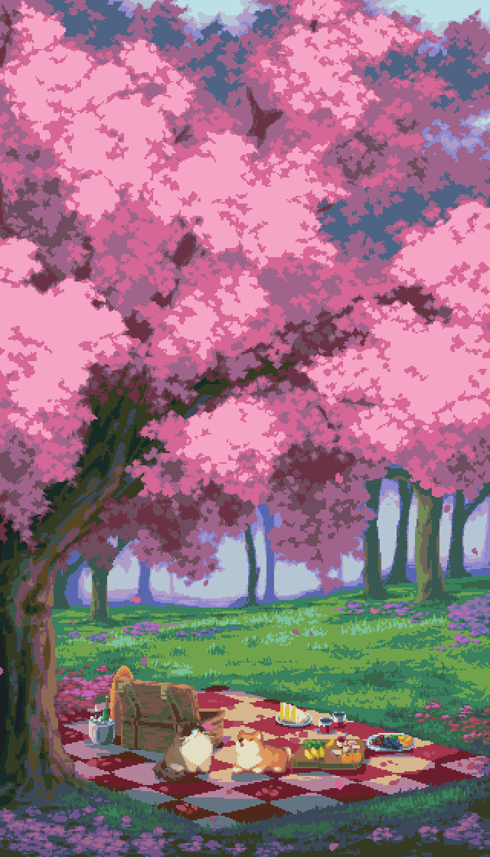 原创 猫 樱花 白天 狗 落花