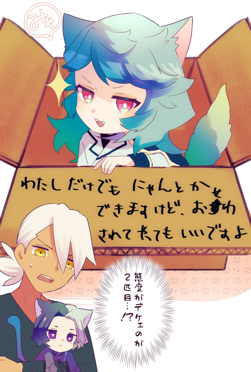 宝可梦、精灵宝可梦 (动画)、宝可梦：地平线 3个男孩 :D 兽耳 黑衬衫 亮瞳