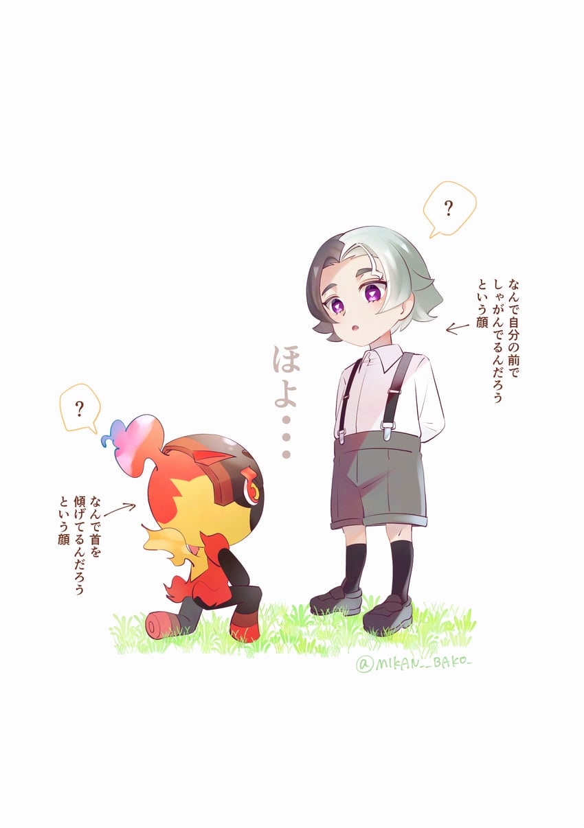 宝可梦、精灵宝可梦 (动画)、宝可梦：地平线 1名男孩 问号 幼化 手放在背后 箭头（符号）