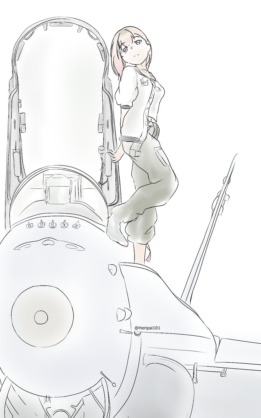皇牌空战、皇牌空战8、tasha (ace combat) 1名女孩 飞行器 飞机 不对称腿部穿着 座舱盖