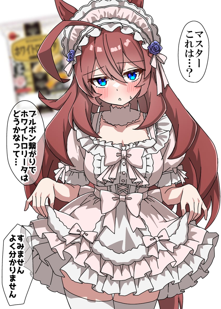 赛马娘、美浦波旁 (赛马娘)