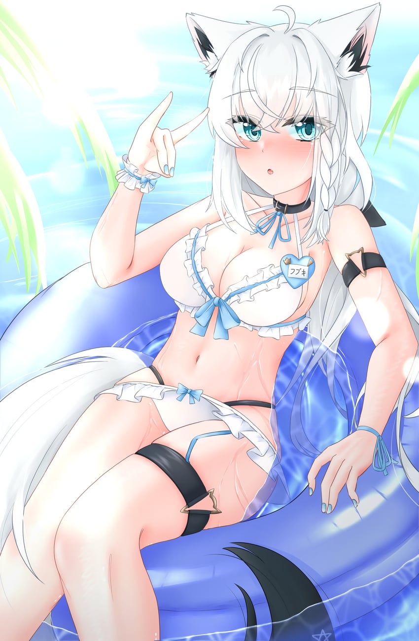 Hololive、白上吹雪 1名女孩 兽耳 比基尼 黑色项圈 蓝眼