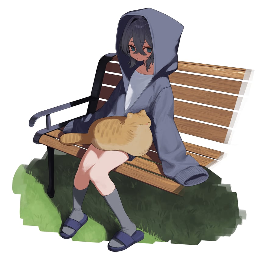原创 1名女孩 腿上的动物 长椅 蓝眼 猫