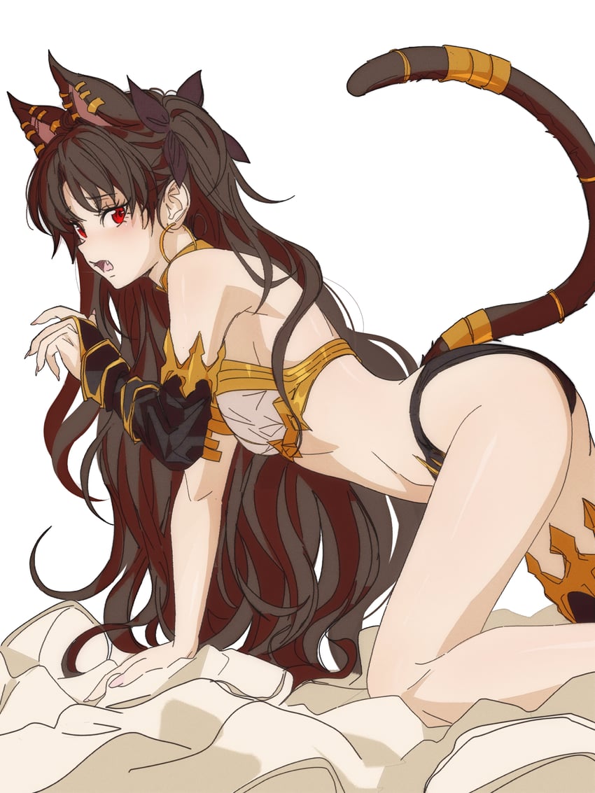 Fate/Grand Order、Fate系列、伊什塔尔 (Fate) 1名女孩 兽耳 护臂 臂环 不对称腿部穿着