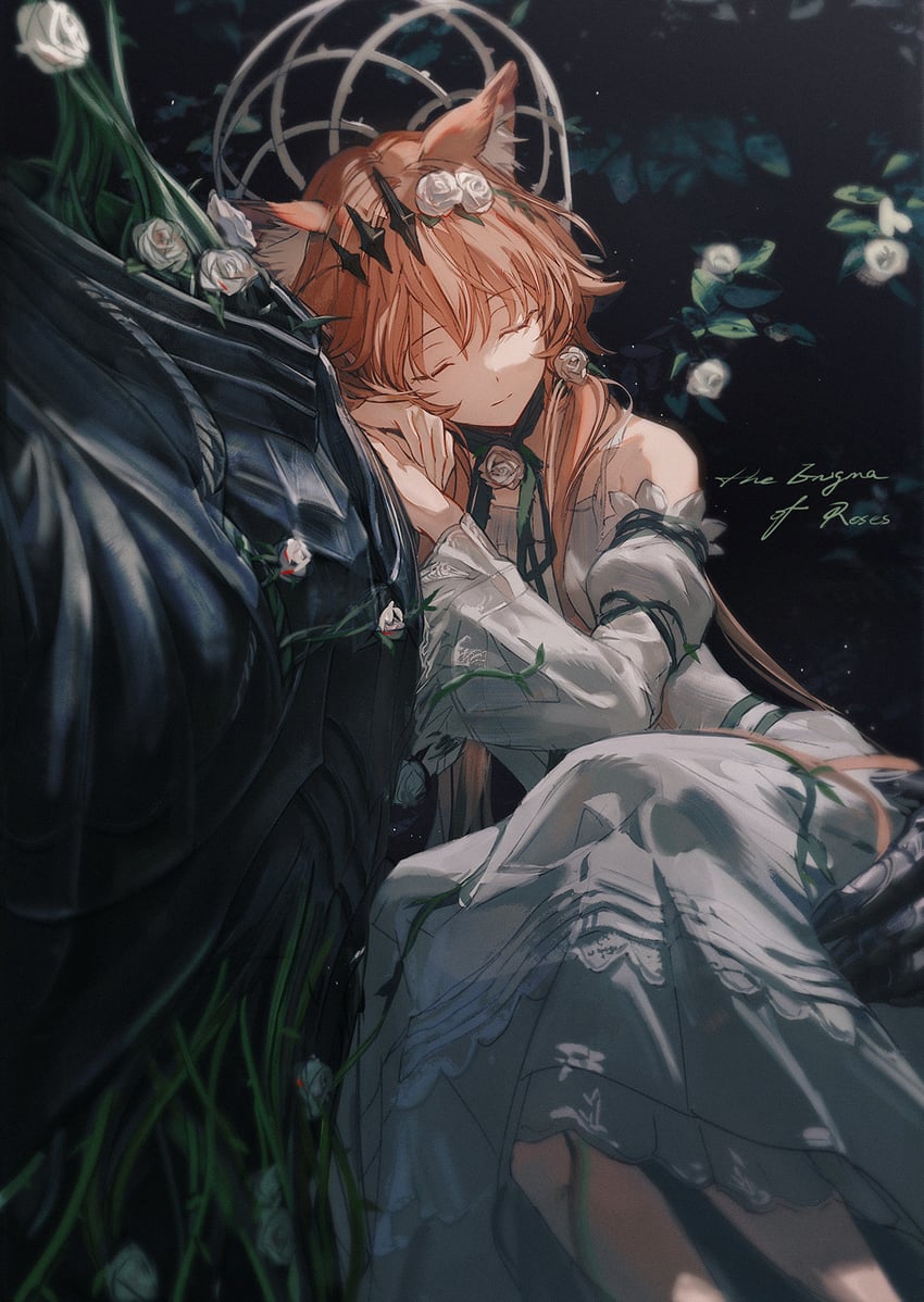 明日方舟、万顷 (明日方舟)、vendela (the enigma of roses) (arknights) 1名女孩 兽耳毛 兽耳 手臂枕头 露肩