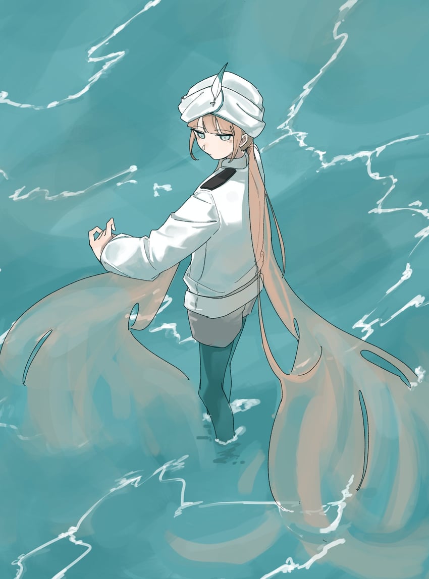 Fate/Grand Order、Fate系列、尼摩 (Fate) 1名男孩 荒谬的长发 水色瞳 棕发 俯视