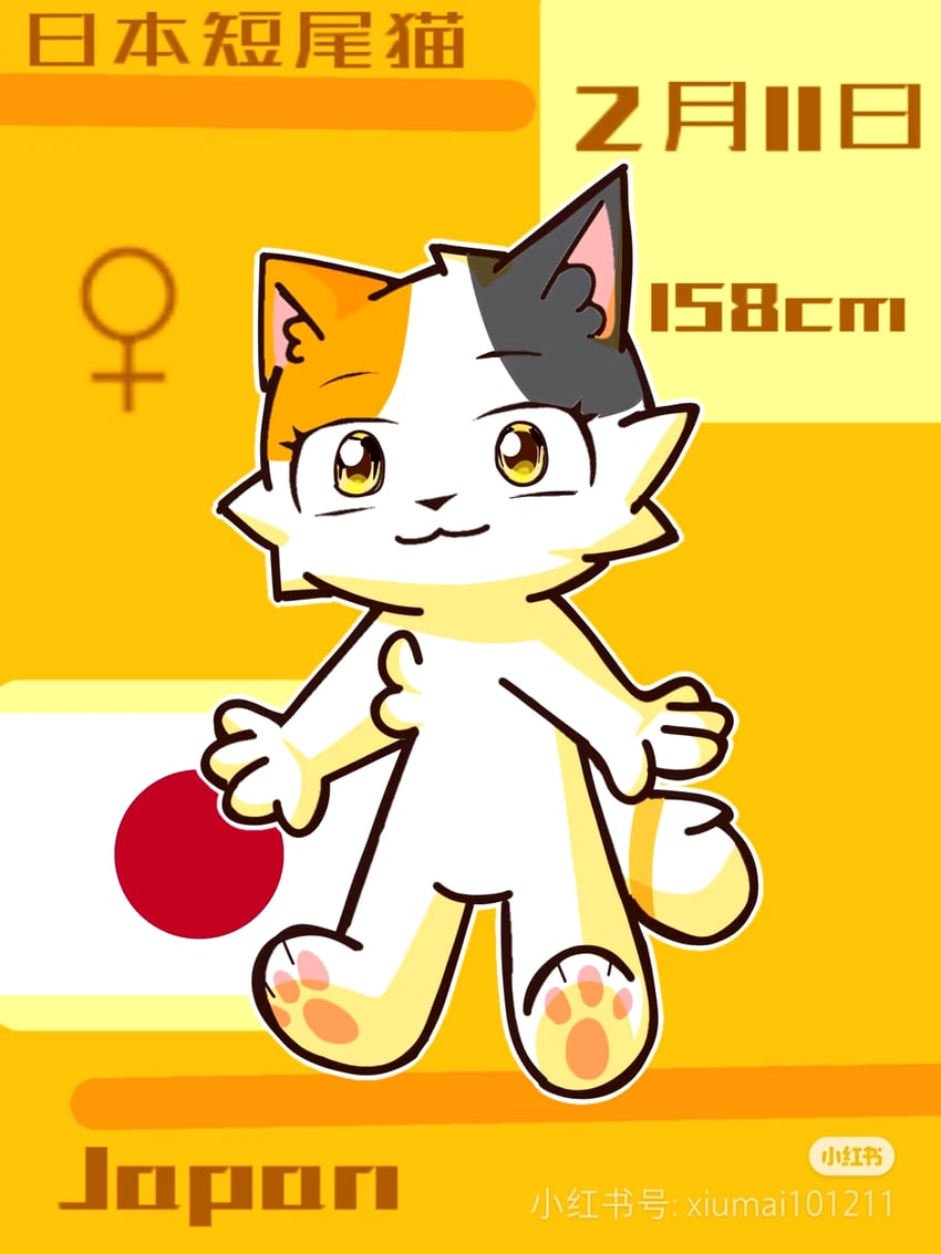 原创 猫 日本