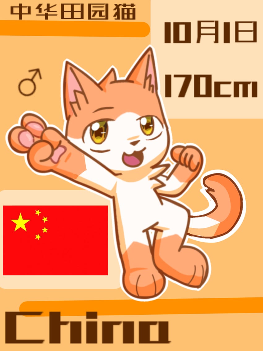 原创 猫 中国