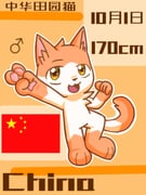 二次元插画 #11536248