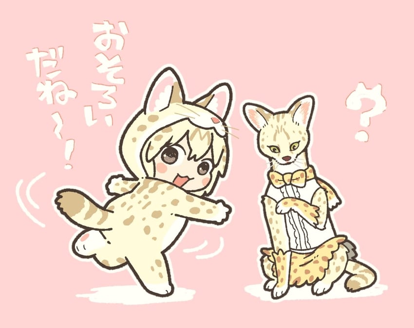 兽娘动物园、白薮猫 (兽娘动物园) 1名女孩 动物 兽耳 背影 黑瞳