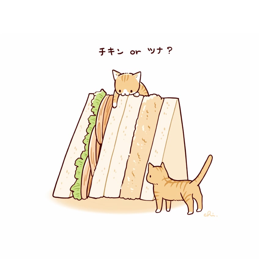 原创 动物 动物焦点 猫 食物 食物焦点