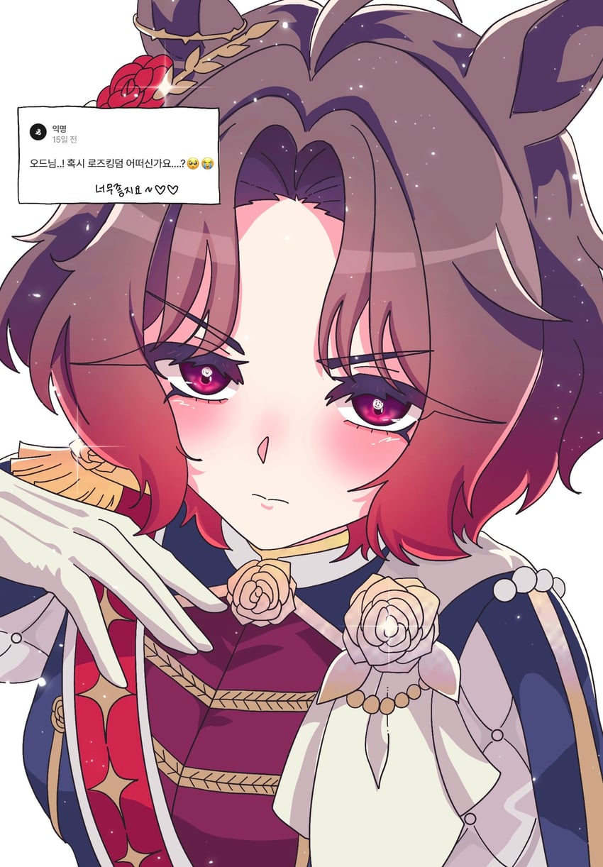 赛马娘、玫瑰帝国 (赛马) (赛马娘)、玫瑰王国 (赛马娘) 呆毛 兽耳 脸红 胸针 棕发