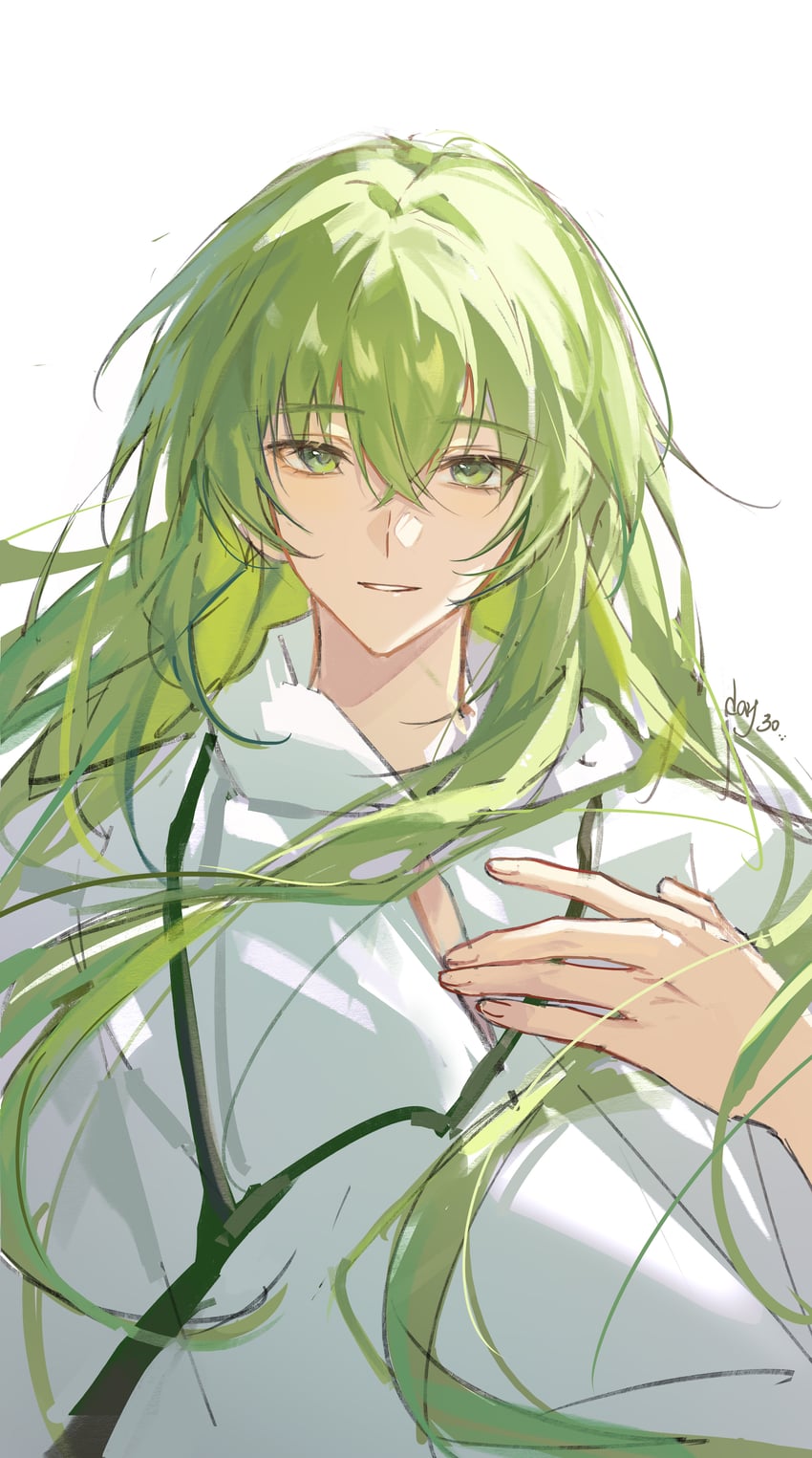 Fate/Grand Order、Fate/strange Fake、Fate系列 1名男孩 中性 美少年 交叉刘海 绿眼