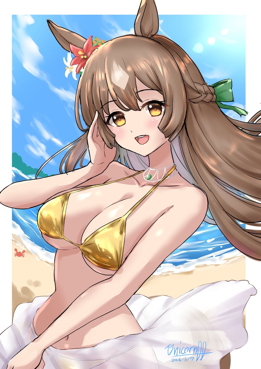 赛马娘、里见光钻 (赛马娘) 1名女孩 兽耳 海滩 比基尼 蓝天