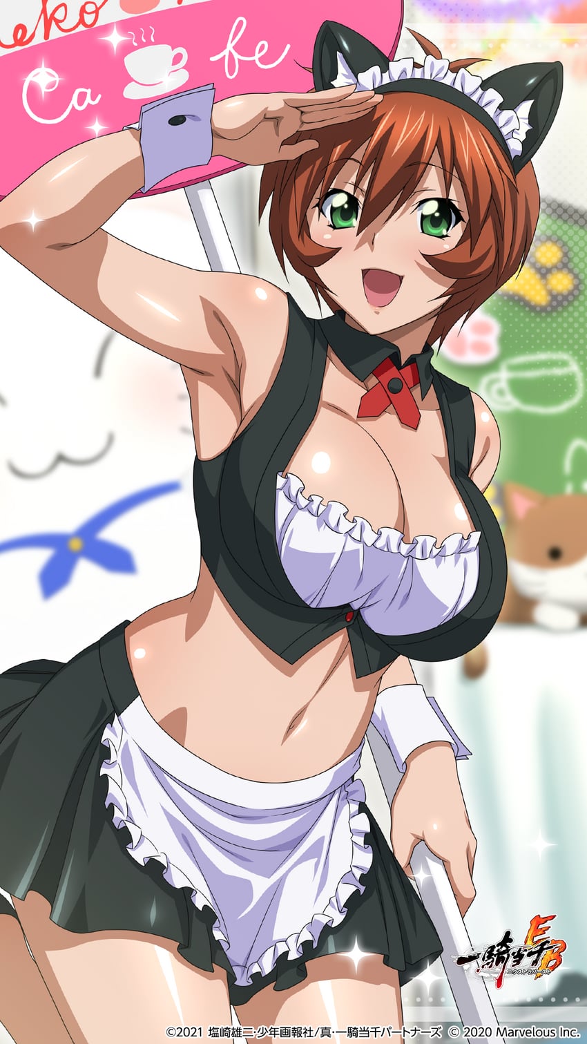 一骑当千、一骑当千 Extra Burst、镇宫高大 1名女孩 :D 兽耳发箍 兽耳 围裙