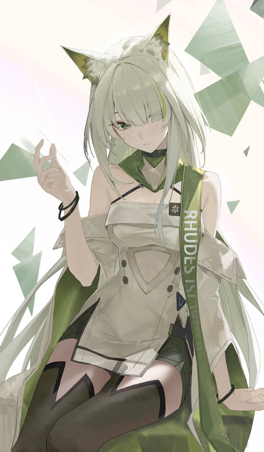 明日方舟、凯尔希 (明日方舟)、凯尔希·艾斯帕兰塔 (明日方舟) 兽耳毛 兽耳 不对称刘海 露肩 黑色过膝袜