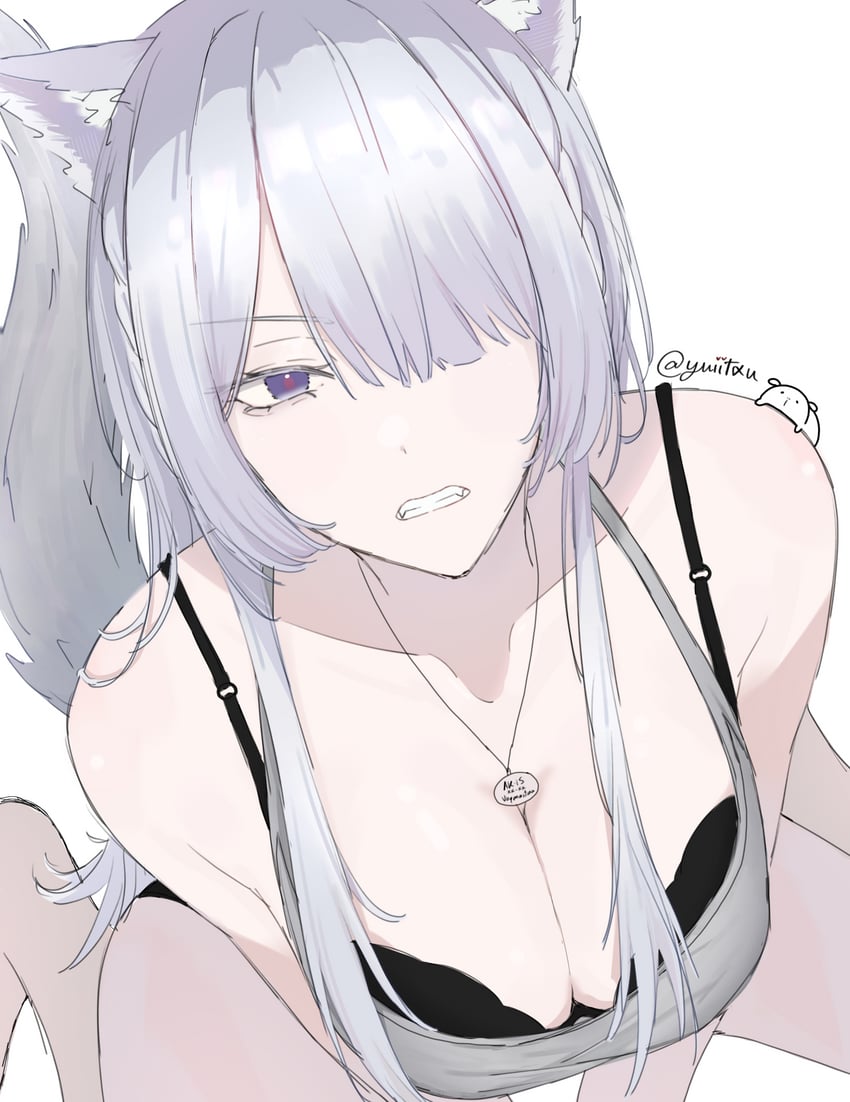 少女前线、少女前线2：追放、原创 1名女孩 兽耳毛 兽耳 露肩 黑色文胸