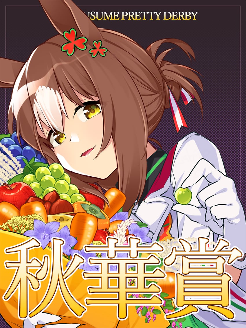 赛马娘、美妙姿势 (高贵的酢浆草)、美妙姿势 (赛马娘) 1名女孩 兽耳 苹果 棕发 胡萝卜