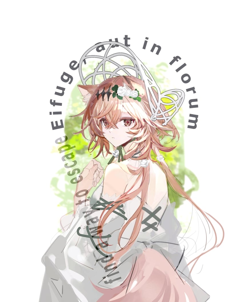 明日方舟、万顷 (明日方舟)、vendela (the enigma of roses) (arknights) 1名女孩 兽耳 露肩 棕眼睛 棕发
