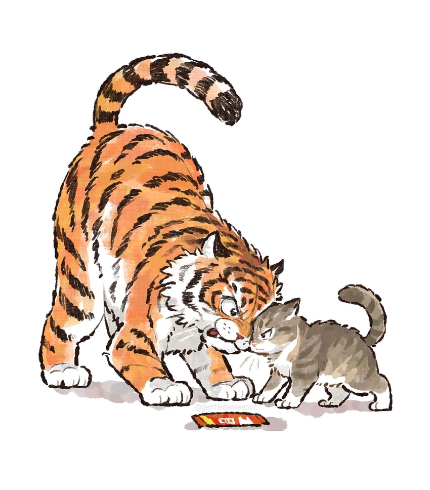 原创 生气 动物 动物焦点 猫 无人类