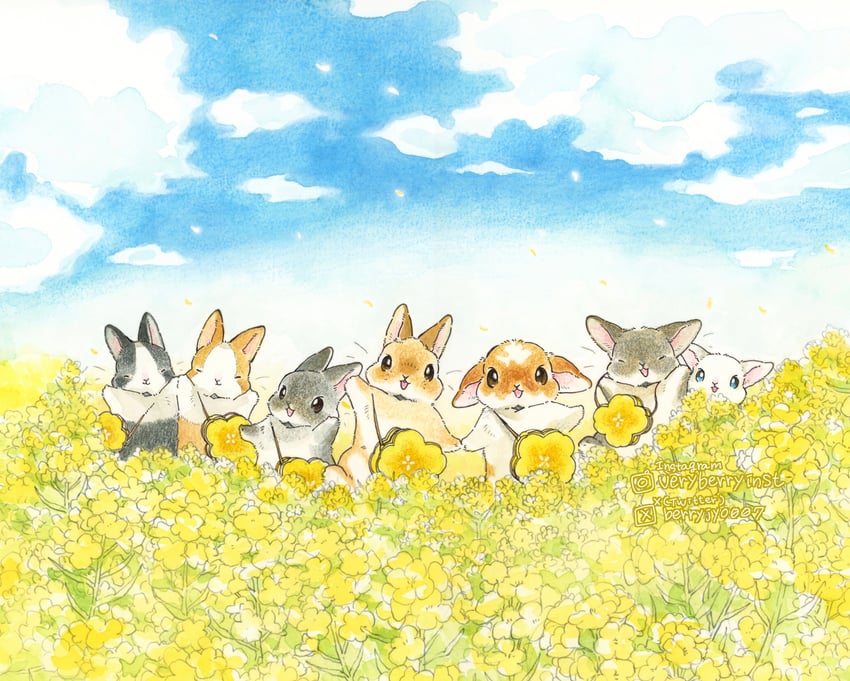 原创 动物 包 蓝眼 棕眼睛 闭眼