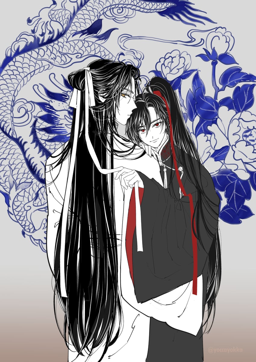 魔道祖师、蓝忘机、魏无羡 2个男孩 改装服装 呆毛 美少年 黑发