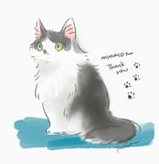 二次元插画 #11545083